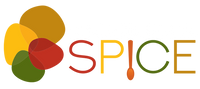 Adventures in Spice